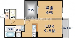 メゾン池島の物件間取画像